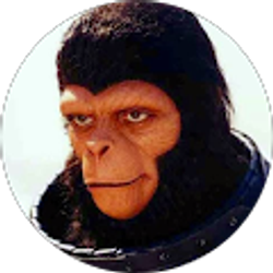 Profile photo of Jen Larkins