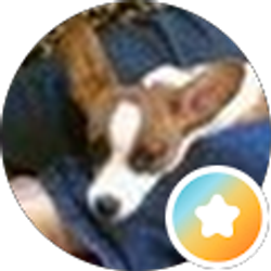 Profile photo of Carolyn Weaver