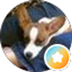 Profile photo of Carolyn Weaver