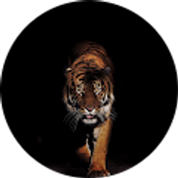 Profile photo of Kristina Conger