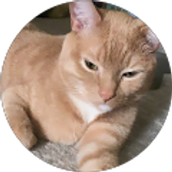 Profile photo of Isaiah G