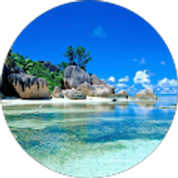 Profile photo of Chanell Jones