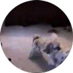 Profile photo of Geoffrey Check