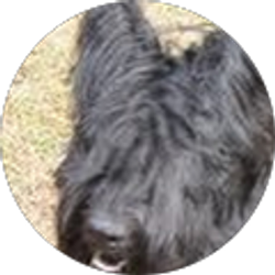 Profile photo of D.Earle Squires