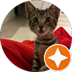 Profile photo of Veronica Suarez