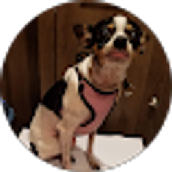 Profile photo of Susana Peraza