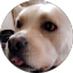 Profile photo of Selina Salas