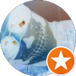 Profile photo of Miguel Sanchez