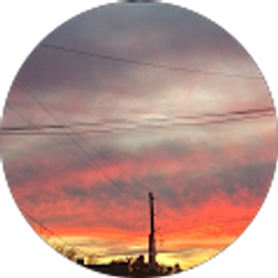 Profile photo of Marlenee Weaver