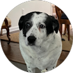 Profile photo of Megan Becker