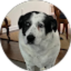 Profile photo of Megan Becker