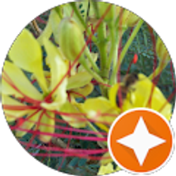 Profile photo of Michelle Kampa