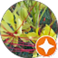 Profile photo of Michelle Kampa