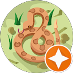 Profile photo of K VG