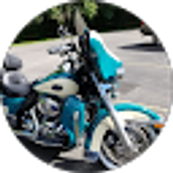 Profile photo of Bob T