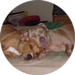 Profile photo of Judy DiPaola