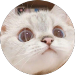 Profile photo of Sawyer Underwood