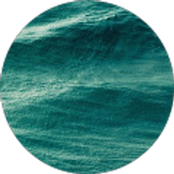 Profile photo of Amjed Adel