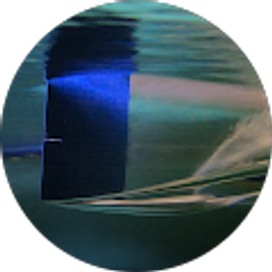 Profile photo of Galen Ng