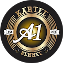 Profile photo of Jamil Lane