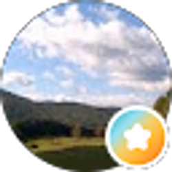 Profile photo of A Costiuc