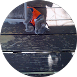 Profile photo of Kathleen Gaddy