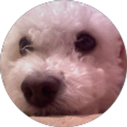 Profile photo of Grace Lee