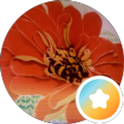 Profile photo of Carrie Tonini