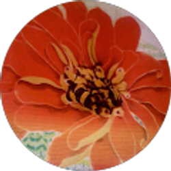 Profile photo of Carrie Tonini