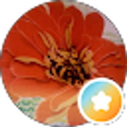 Profile photo of Carrie Tonini