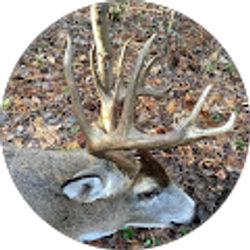 Profile photo of Ken C