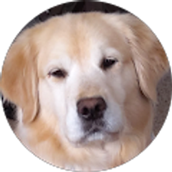 Profile photo of Louise Belline