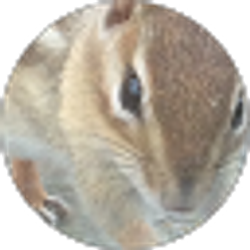 Profile photo of Susan Davies