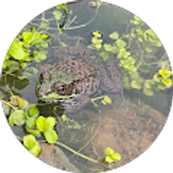 Profile photo of Abigail Waldrop