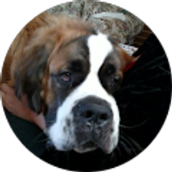 Profile photo of Barbara Haigler