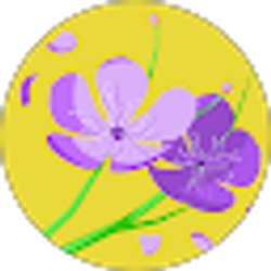 Profile photo of leticia jaco