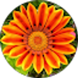 Profile photo of Nora Livers