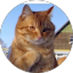 Profile photo of Cat Pace