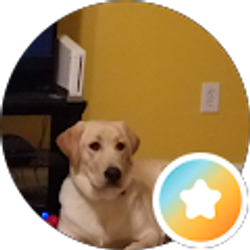 Profile photo of Jonava Johnson