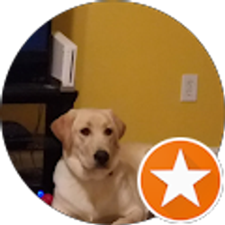 Profile photo of Jonava Johnson