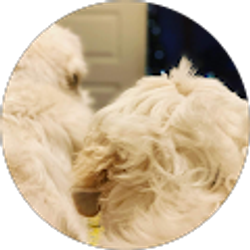 Profile photo of Bobbie Osborn