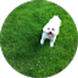 Profile photo of Lisa Ward