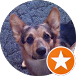 Profile photo of Brendon Howard