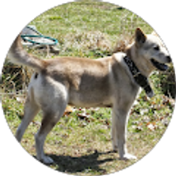 Profile photo of Goku Vegeta