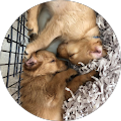 Profile photo of Emma Kerrick