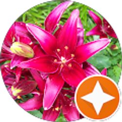 Profile photo of Laura Morgan