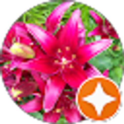 Profile photo of Laura Morgan