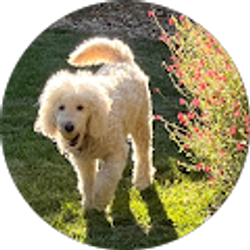 Profile photo of Jaime Gleason