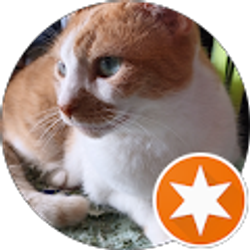 Profile photo of Jackie Boyd