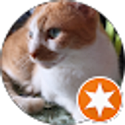 Profile photo of Jackie Boyd